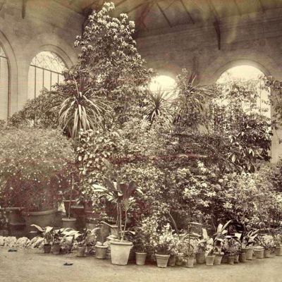 mercato-centrale-firenze-piano-terra-8